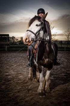 Horse And Ida